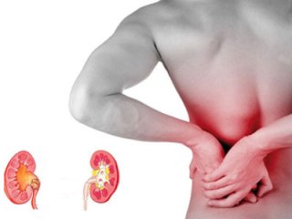 Если почки воспалились, бабушкины рецепты пригодились