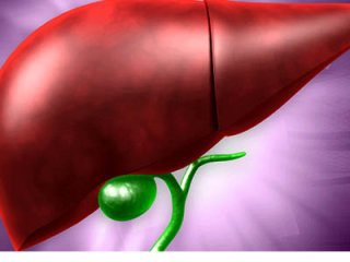 С помощью каких народных средств можно полечить и почистить желчный пузырь