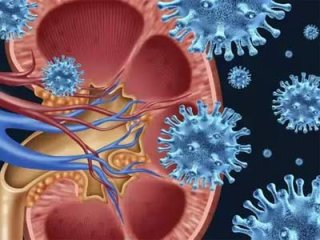 При пиелонефрите народные средства примените, и о болезни забудете