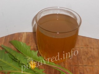 Мед из одуванчиков