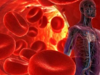 Как оказать первую доврачебную помощь при гипертоническом кризе