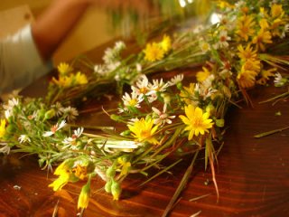 Какие народные средства помогут избавиться от полипов