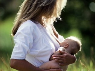 Можно ли лечить гнойный мастит народными средствами?