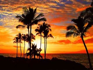 Тропическая язва и ее лечение