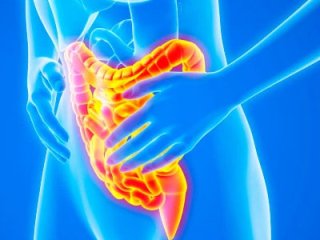 Как очистить кишечник и восстановить его микрофлору?