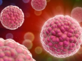 Народные рецепты от кандидоза кишечника