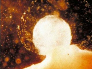 Народные рецепты-помощники для восстановления овуляции