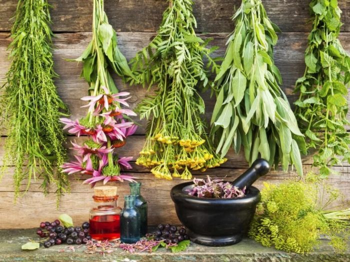 народные средства в гинекологии